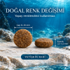 N&D Ocean Tahılsız Ringa Balıklı ve Portakallı 5 Kg Yetişkin Kedi Maması