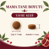 N&D Prime Tahılsız Tavuklu ve Narlı 300 g Yavru Kedi Maması