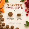 N&D Pumpkin Starter Tahılsız Tavuklu, Balkabaklı ve Narlı 2,5 Kg Tüm Irklar İçin Anne ve Yavru Köpek Maması