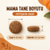 N&D Pumpkin غذای بدون غلات گربه بالغ عقیم‌شده با بره و کدو تنبل و بلوبری 300 گرم
