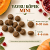 N&D Pumpkin Tahılsız Tavuklu, Balkabaklı ve Narlı 800 g Küçük Irk Yavru Köpek Maması