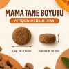 N&D Pumpkin Tahılsız Yaban Domuzlu, Balkabaklı ve Elmalı 12 Kg Orta ve Büyük Irk Yetişkin Köpek Maması