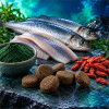 N&D Spirulina غذای سگ بالغ نژاد متوسط و بزرگ بدون غلات با شاه ماهی، اسپیرولینا و گوجی بری 7 Kg