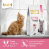 Nutri Feline Kitten 10 Kg Somonlu Yavru Kedi Maması