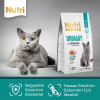 Nutri Feline Urinary 10 Kg Somonlu Düşük Tahıllı Yetişkin Kedi Maması