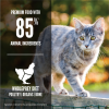 Orijen Original Cat 5,4 کیلوگرم غذای بدون غلات گربه با مرغ و ماهی
