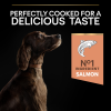 Purina Pro Plan Large Athletic Adult Sensitive Skin Salmon 14 Kg Somonlu Büyük Irk Yetişkin Köpek Maması