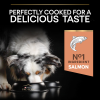 Purina Pro Plan Medium & Large Adult 7+ Sensitive Skin Salmon 14 کیلوگرم غذای سگ مسن نژاد متوسط و بزرگ با سالمون