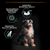 Purina Pro Plan Medium Puppy Sensitive Digestion Lamb 12 Kg Kuzulu Orta Irk Yavru Köpek Maması
