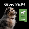 Purina Pro Plan Medium Puppy Sensitive Digestion Lamb 12 Kg Kuzulu Orta Irk Yavru Köpek Maması
