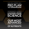 Purina Pro Plan Medium Puppy Sensitive Digestion Lamb 12 Kg Kuzulu Orta Irk Yavru Köpek Maması