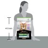 Purina Pro Plan Sterilised Turkey 10+2 Kg Bonus Paket Hindili Kısırlaştırılmış Kedi Maması