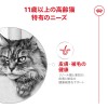 Royal Canin Ageing 12+ 2 Kg Yaşlı Kedi Maması