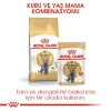 Royal Canin British Shorthair Adult 10 کیلوگرم غذای گربه بالغ