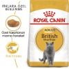 Royal Canin British Shorthair Adult 10 کیلوگرم غذای گربه بالغ
