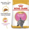 Royal Canin British Shorthair Kitten 2 kg British Shorthair Yavru Kedi Maması