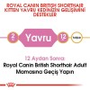 Royal Canin British Shorthair Kitten 2 kg British Shorthair Yavru Kedi Maması