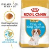 Royal Canin Cavalier King Charles Puppy 1,5 Kg Yavru Köpek Maması