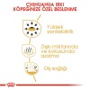 Royal Canin Chihuahua Adult 1,5 کیلوگرم غذای سگ بالغ