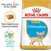 Royal Canin Chihuahua Puppy 1,5 Kg Yavru Köpek Maması