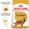 Royal Canin Cocker Adult 3 Kg Yetişkin Köpek Maması