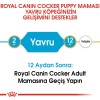 Royal Canin Cocker Puppy 3 Kg Yavru Köpek Maması
