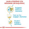 Royal Canin Cocker Puppy 3 Kg Yavru Köpek Maması