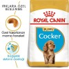 Royal Canin Cocker Puppy 3 Kg Yavru Köpek Maması