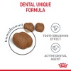 Royal Canin Dental Care 1,5 Kg سلامت دهان و دندان غذای گربه بالغ