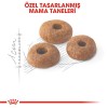 Royal Canin Fit 32 15 kg Yetişkin Kedi Maması