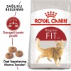 Royal Canin Fit 32 4 kg Yetişkin Kedi Maması