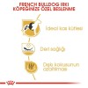 Royal Canin French Bulldog Adult 3 کیلوگرم غذای سگ بالغ