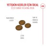 Royal Canin Fussy 400 Gr Seçici Yetişkin Kedi Maması