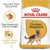 Royal Canin German Shepherd Adult 11 کیلوگرم غذای سگ بالغ