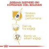 Royal Canin German Shepherd Adult 11 کیلوگرم غذای سگ بالغ