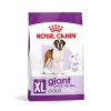 Royal Canin Giant Adult 15 Kg Dev Irk Yetişkin Köpek Maması
