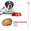 Royal Canin Giant Adult 15 Kg Dev Irk Yetişkin Köpek Maması
