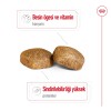 Royal Canin Giant Adult 15 Kg Dev Irk Yetişkin Köpek Maması