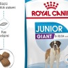 Royal Canin Giant Junior 15 Kg Dev Irk Yavru Köpek Maması
