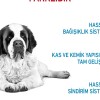 Royal Canin Giant Junior 15 Kg Dev Irk Yavru Köpek Maması