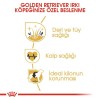 Royal Canin Golden Retriever Adult 12 Kg Yetişkin Köpek Maması
