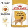 Royal Canin Golden Retriever Adult 12 Kg Yetişkin Köpek Maması