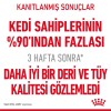 Royal Canin Hair & Skin Care 4 kg Yetişkin Kedi Maması