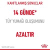 Royal Canin Hairball Care 2 Kg Tüy Yumağı Kontrolü Yetişkin Kedi Maması