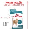 Royal Canin Healthy Ageing 11+ 2 Kg Yaşlı Kedi Maması