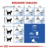 Royal Canin Indoor 27 2 kg Yetişkin Kedi Maması