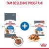 Royal Canin Light Weight Care 8 kg Light Yetişkin Kedi Maması