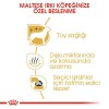 Royal Canin Maltese Adult 1,5 کیلوگرم غذای سگ بالغ