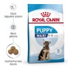 Royal Canin Maxi Puppy 10 kg Büyük Irk Yavru Köpek Maması