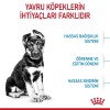 Royal Canin Maxi Puppy 10 kg Büyük Irk Yavru Köpek Maması